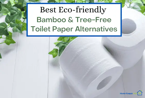 Best Eco-friendly Bamboo & Tree-Free Toilet Paper