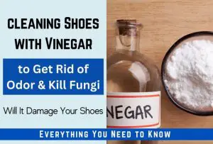 Using Vinegar to Clean Smelly Shoes -What You Need to Know – Home ...
