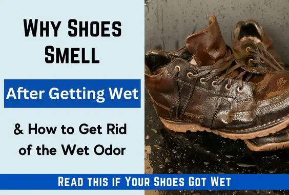 Why Shoes Smell After Getting Wet & What to Do to Fix – Home Keeper Hub